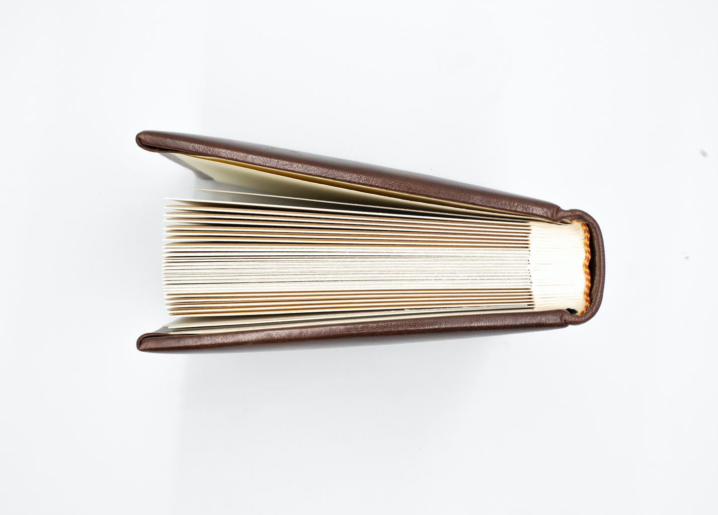 Álbum extragrande (36 x 28cm)