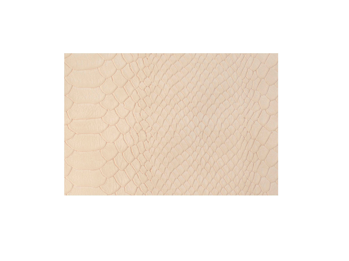 Charola de baño mini (30 x 12.5 x 4cm)